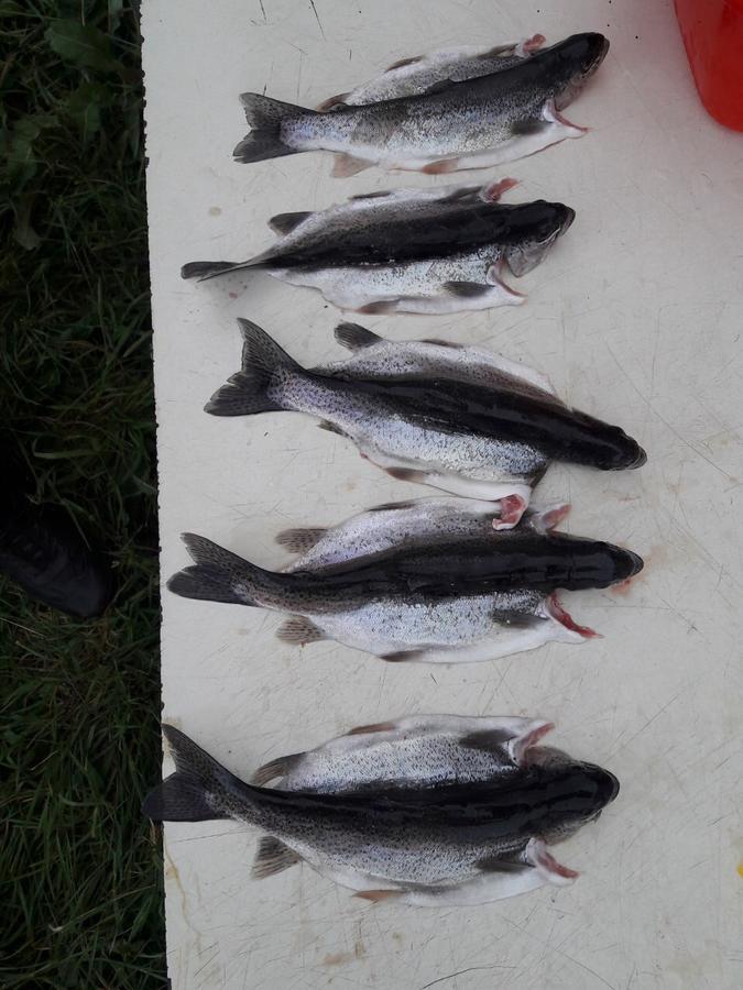 Fish Hotel Akhalkalaki Kültér fotó